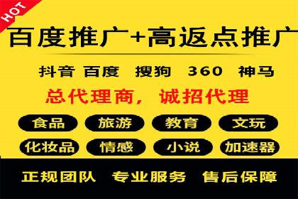 行业领先企业背后的信息流代运营案例